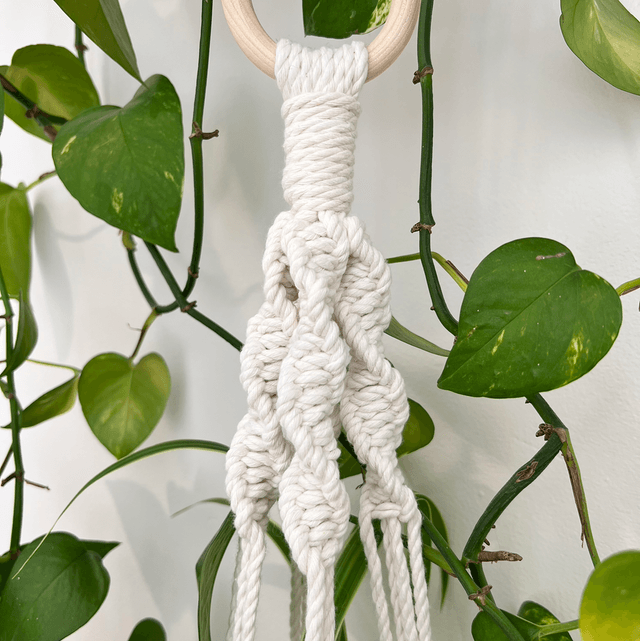 Long Plant Hanger