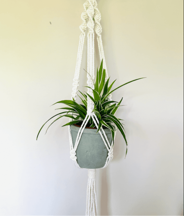 Long Plant Hanger