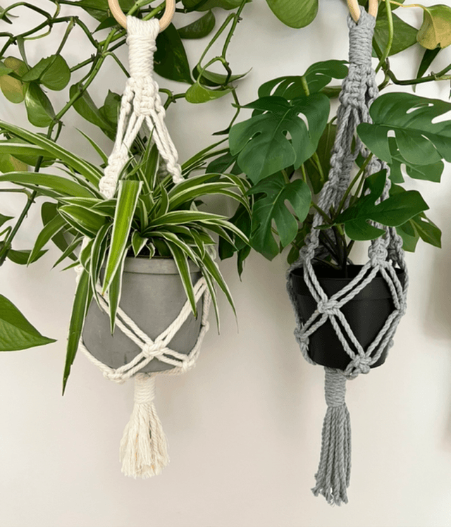 Short 321 Plant Hangers